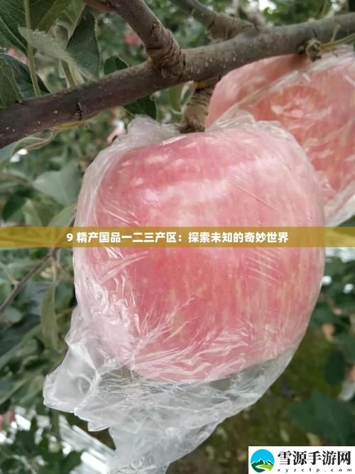  如何在“9精产国品一二三产区”中找到最具地方特色的优质农产品？