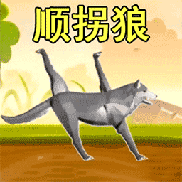 狂野动物模拟